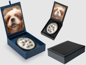 Paw Print Keepsake in Faux Leather